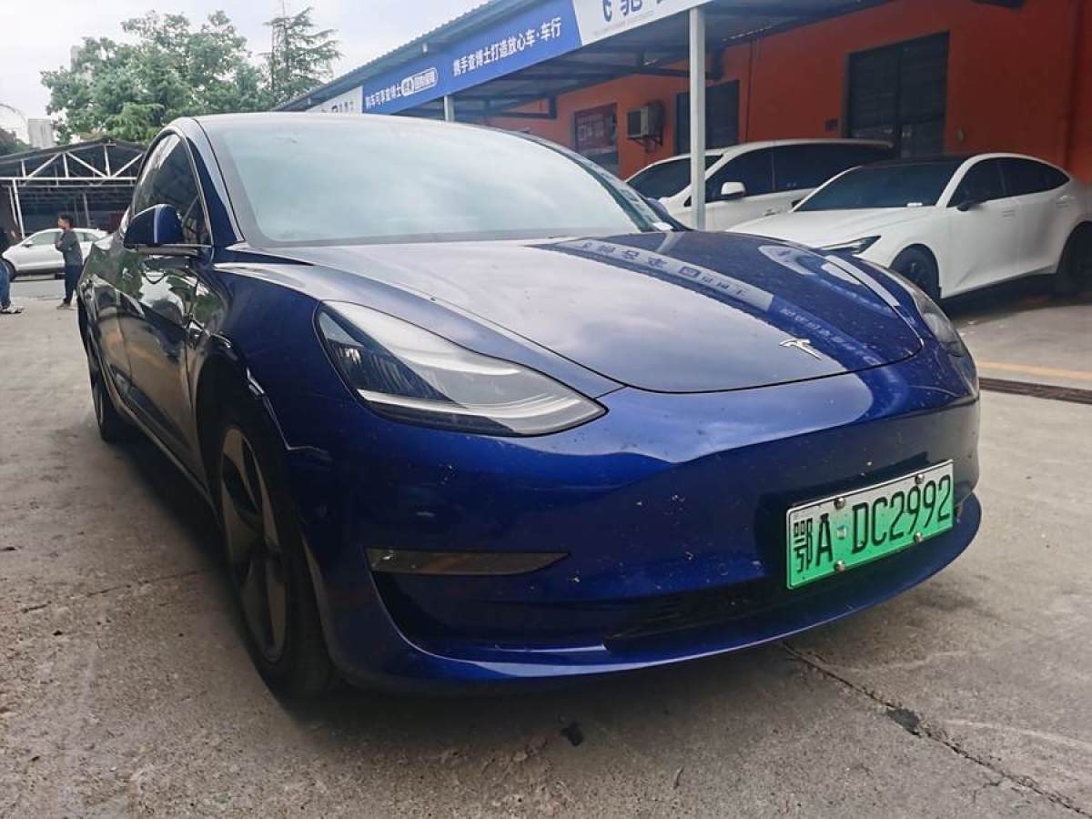 特斯拉 Model 3  2019款 長續(xù)航全輪驅(qū)動版圖片