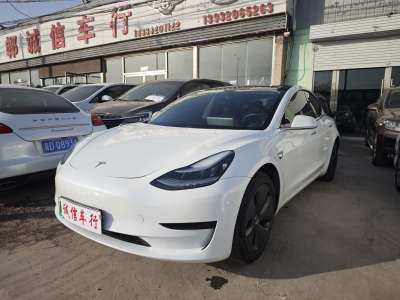 2020年1月 特斯拉 Model 3 標(biāo)準(zhǔn)續(xù)航后驅(qū)升級(jí)版圖片