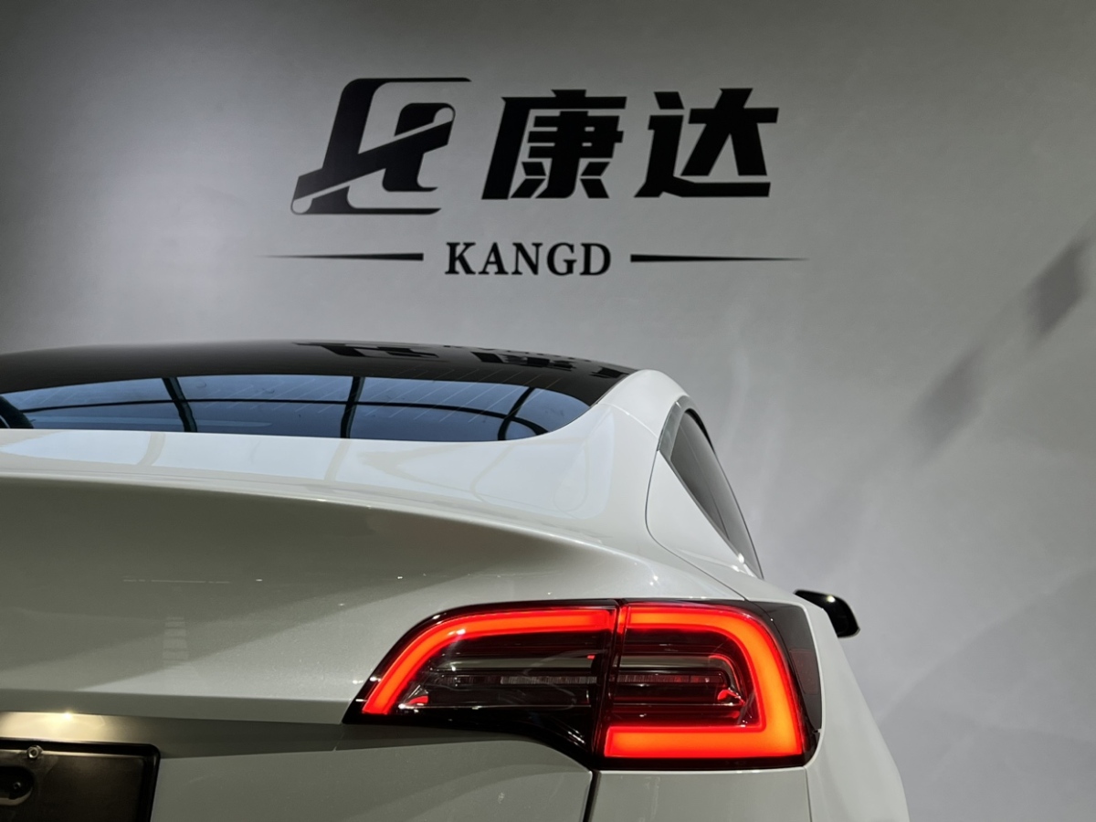 特斯拉 Model 3  2019款 標(biāo)準(zhǔn)續(xù)航后驅(qū)升級(jí)版圖片