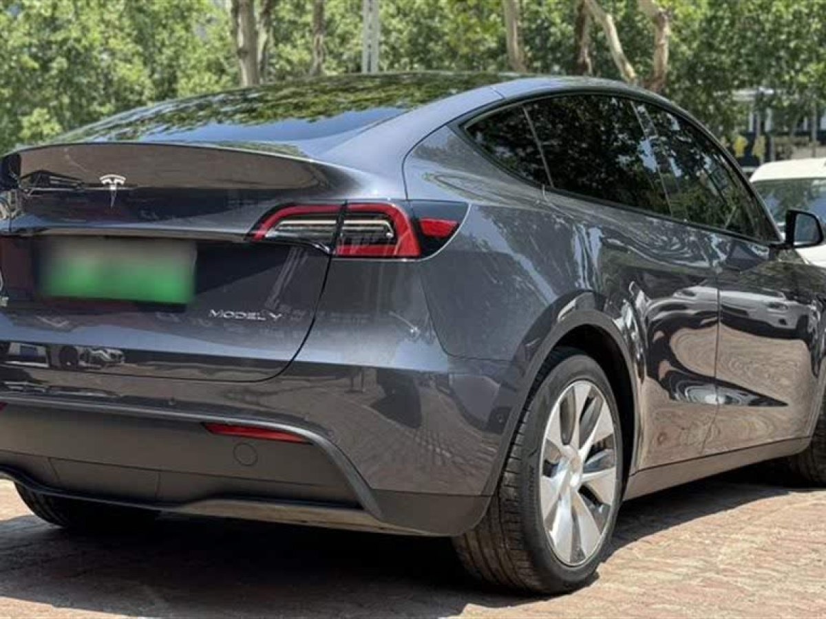 特斯拉 Model Y  2021款 標準續(xù)航后驅(qū)版圖片