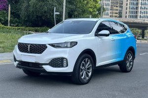 VV6 WEY 2.0T 兩驅智享+