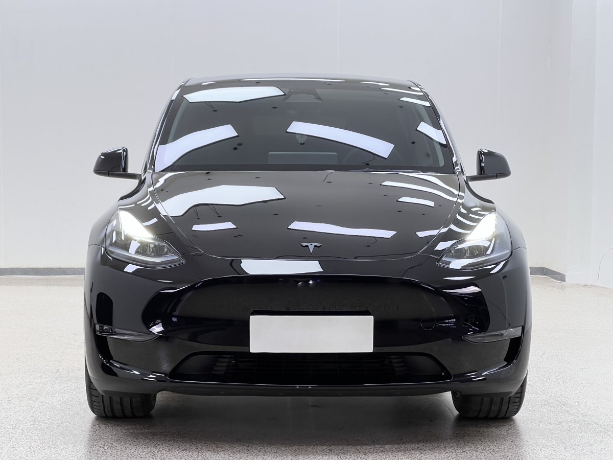 特斯拉 Model Y  2023款 長續(xù)航煥新版 雙電機全輪驅(qū)動圖片