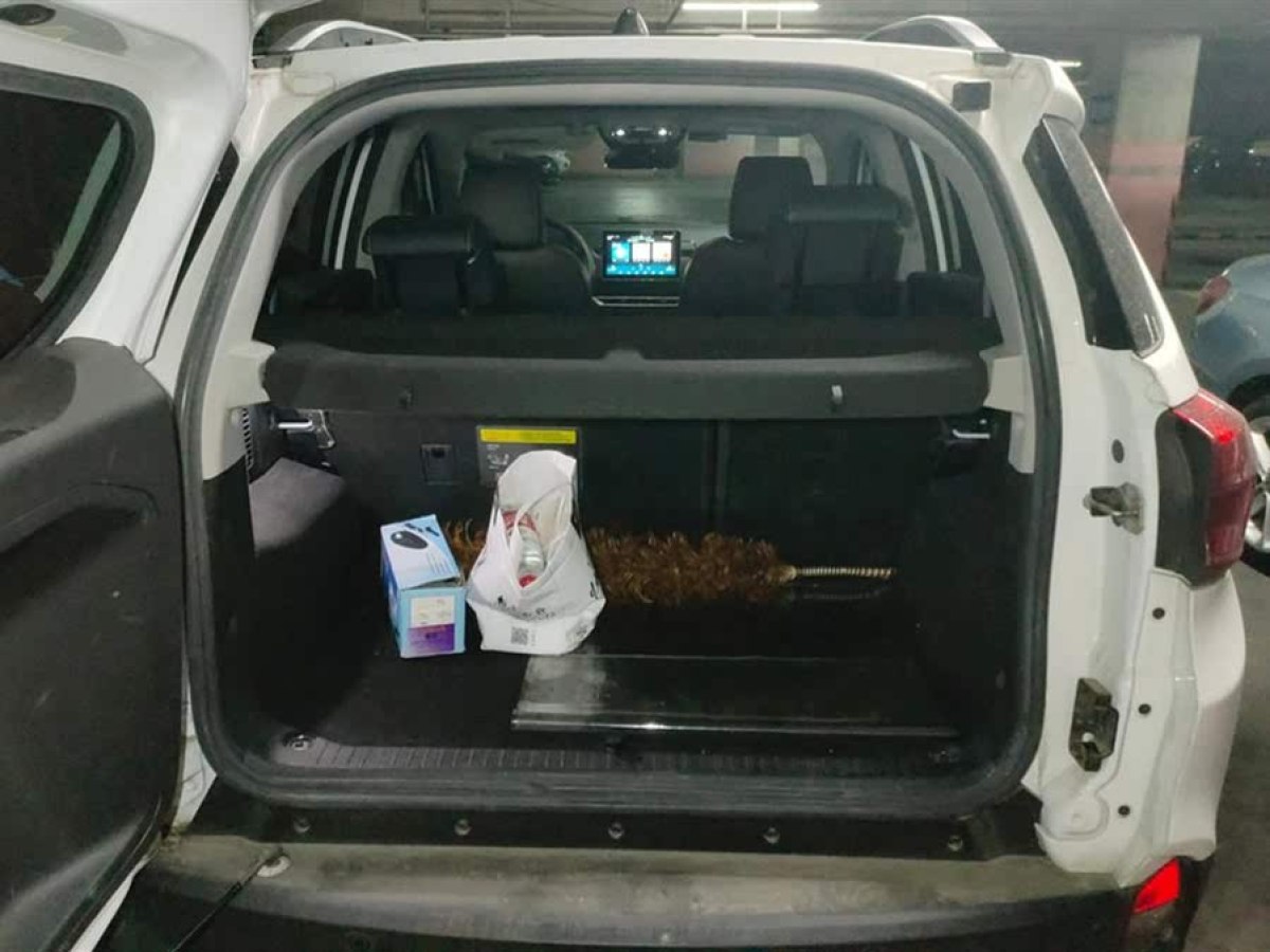 比亞迪 元新能源  2019款 EV535 高能領(lǐng)航版圖片