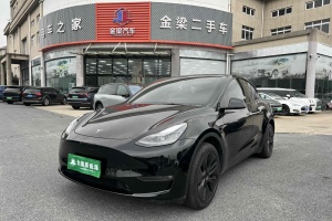 Model Y 特斯拉 长续航焕新版 双电机全轮驱动