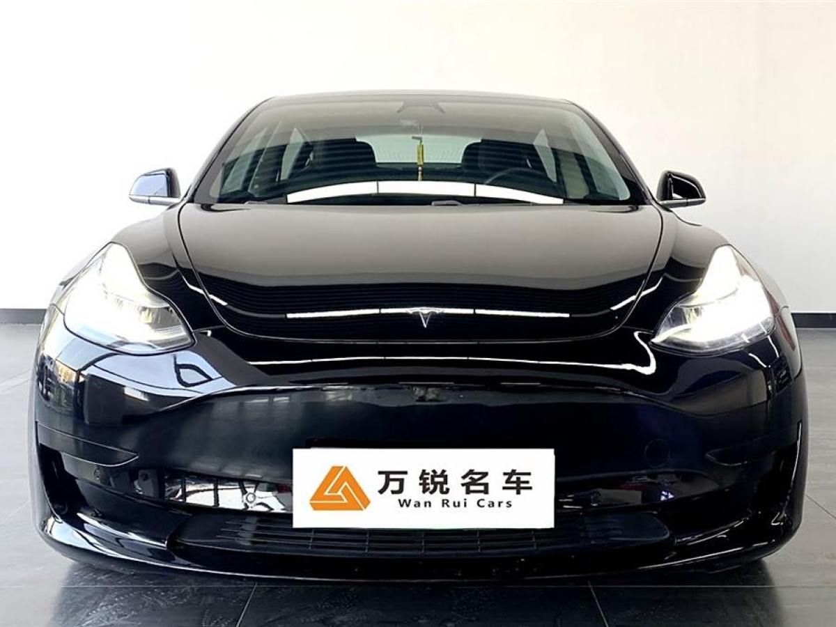 特斯拉 Model 3  2020款 改款 標(biāo)準(zhǔn)續(xù)航后驅(qū)升級(jí)版圖片