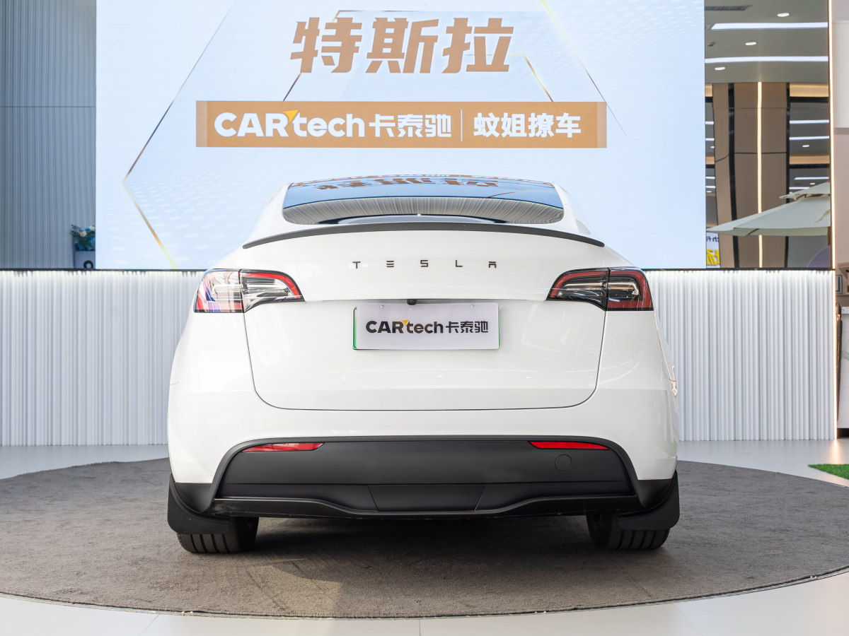 特斯拉 Model 3  2020款 改款 長續(xù)航后輪驅(qū)動版圖片