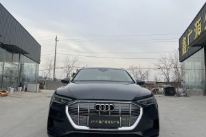 奧迪Q7新能源 奧迪 55 e-tron