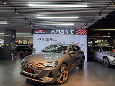 2021年3月 奧迪 奧迪e-tron 50 quattro 尊享型圖片