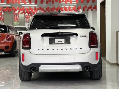 2021年6月 MINI COUNTRYMAN 2.0T COOPER S ALL4图片