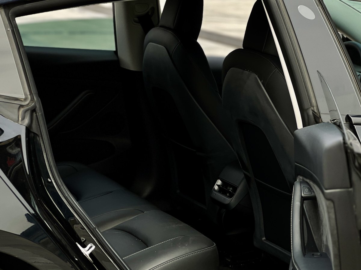 特斯拉 Model 3  2022款 后輪驅(qū)動版圖片