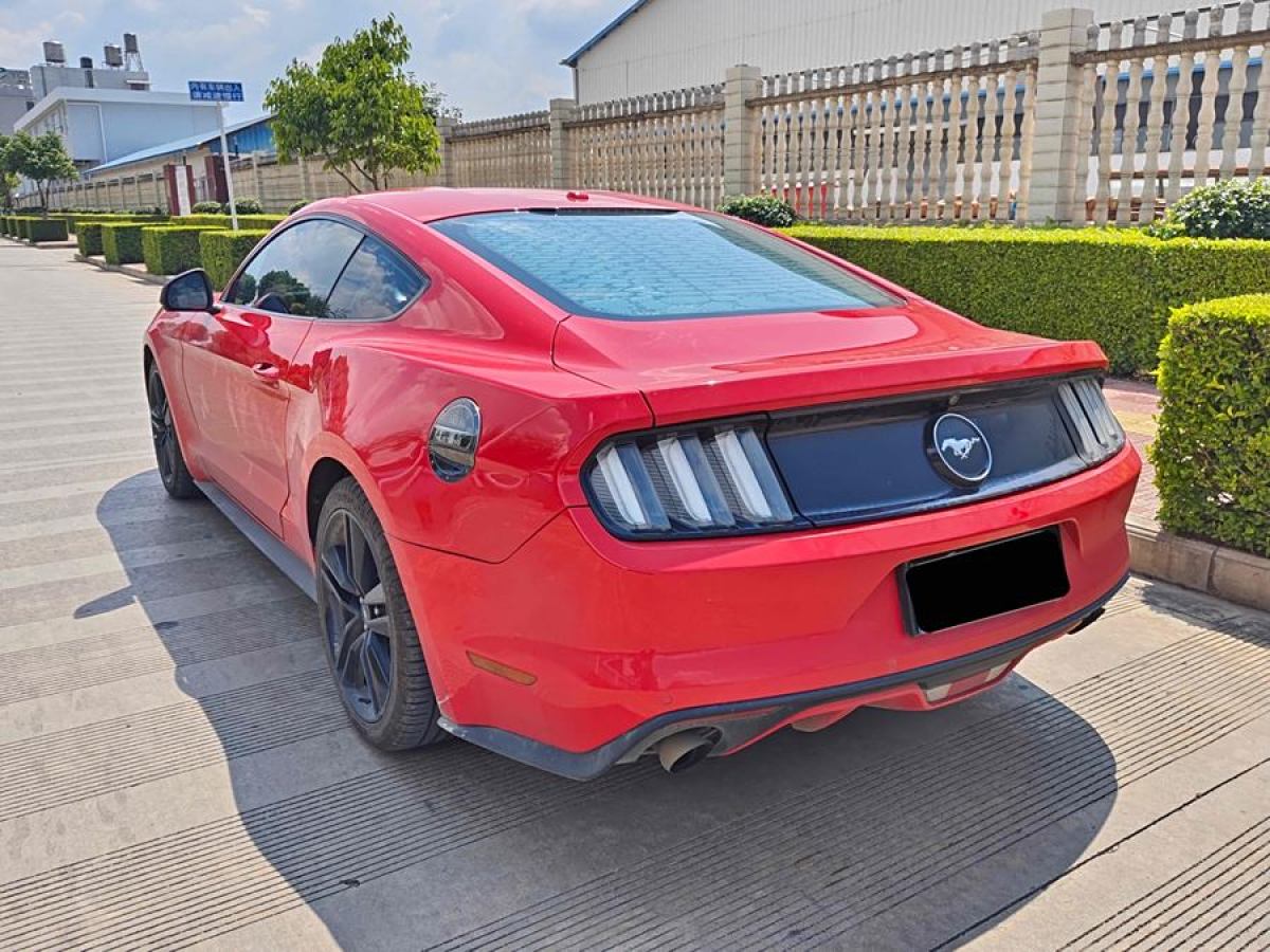 福特 Mustang  2015款 2.3T 性能版圖片