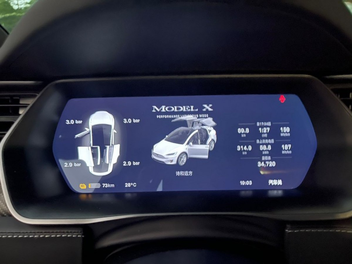 2021年6月特斯拉 Model X  2020款 Performance 高性能版