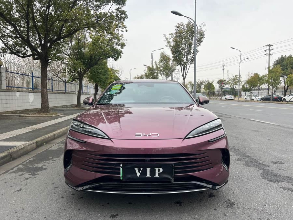 比亞迪 海豹  2023款 DM-i 1.5T 121km 旗艦型圖片