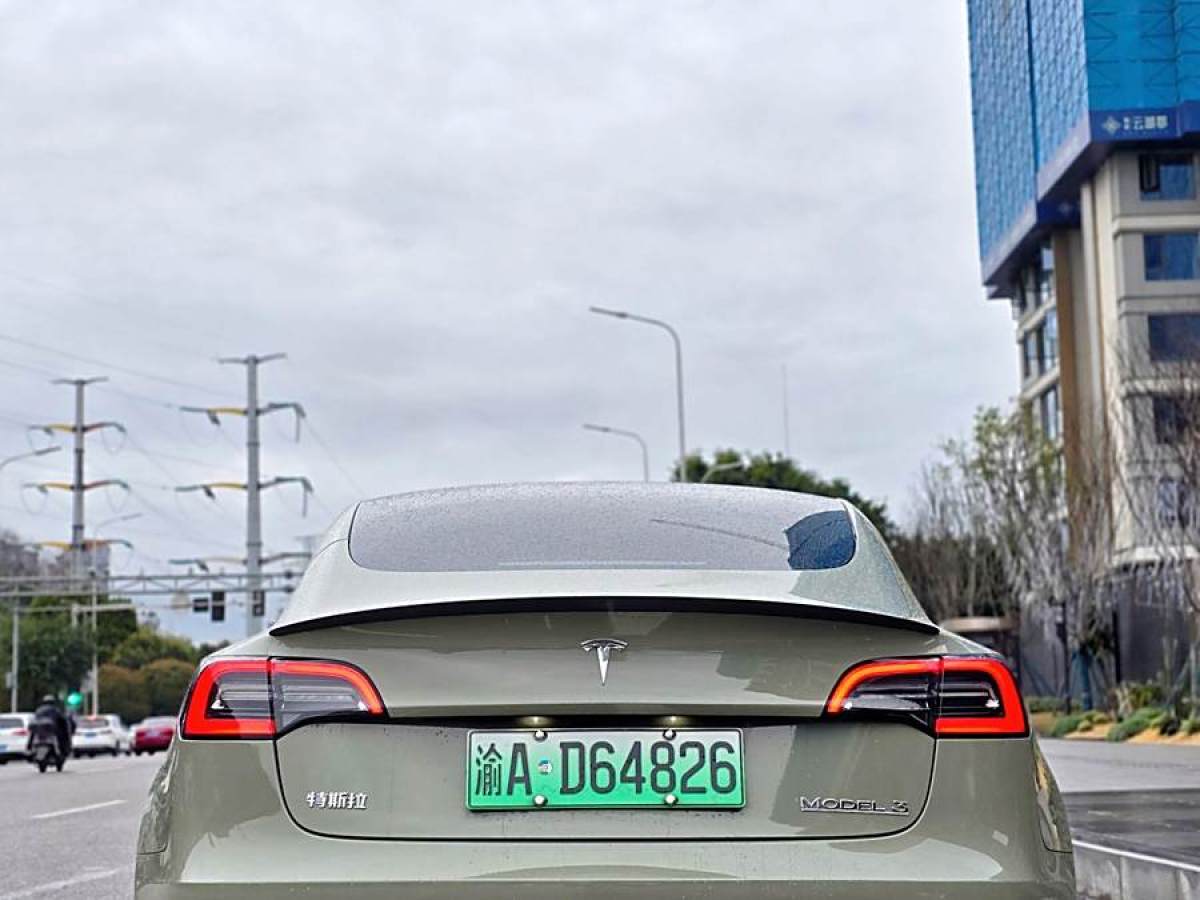 特斯拉 Model Y  2021款 Performance高性能全輪驅(qū)動(dòng)版圖片