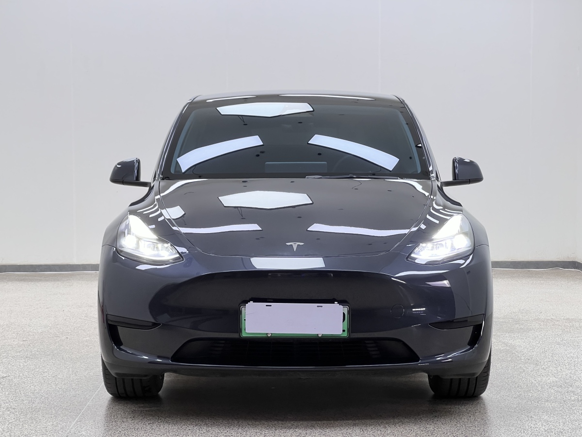 2024年4月特斯拉 Model Y  2020款 改款 長續(xù)航后輪驅(qū)動版