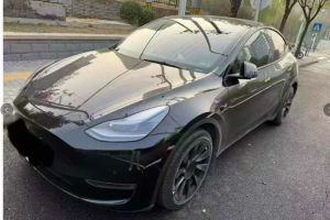 Model 3 特斯拉 Performance高性能全轮驱动版