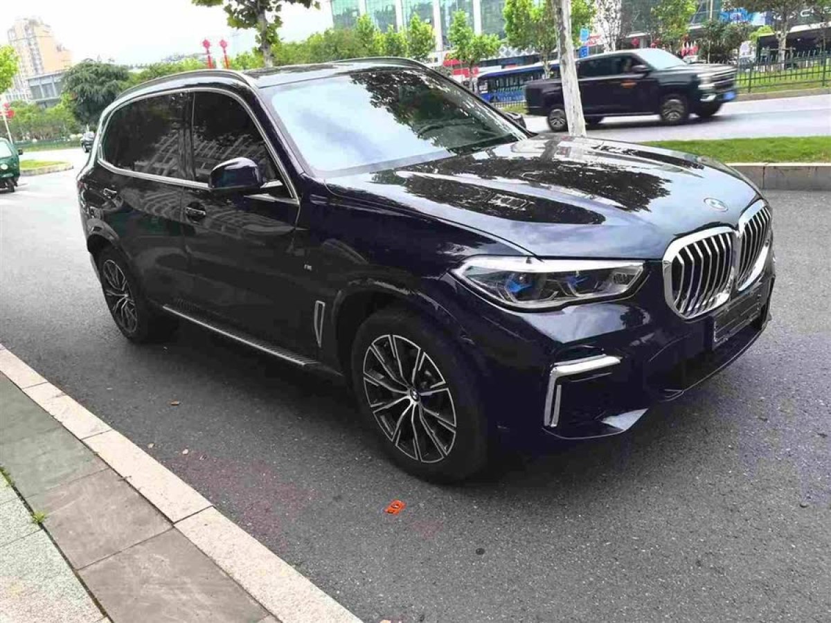 寶馬 寶馬X5  2022款 改款 xDrive 30Li 尊享型M運動套裝圖片
