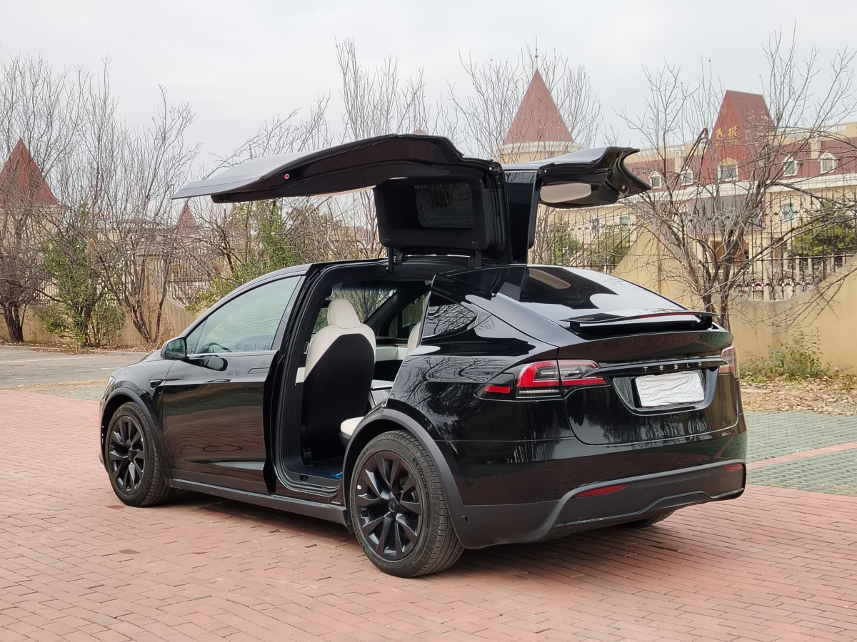 特斯拉 Model X  2023款 雙電機(jī)全輪驅(qū)動(dòng)版圖片