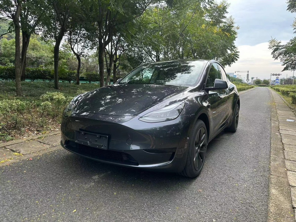 特斯拉 Model 3  2022款 后輪驅動版圖片