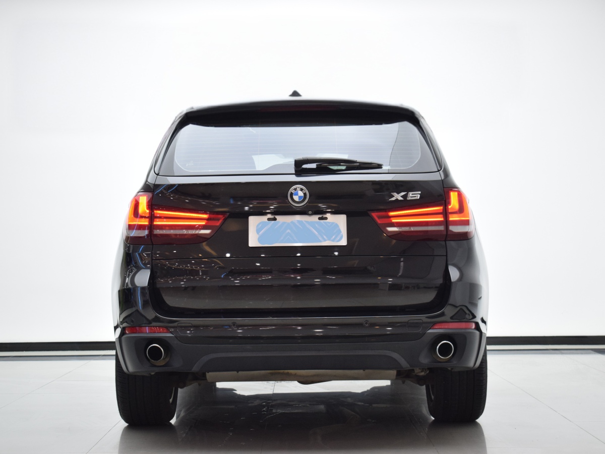 寶馬 寶馬X5  2014款 xDrive35i 領(lǐng)先型圖片