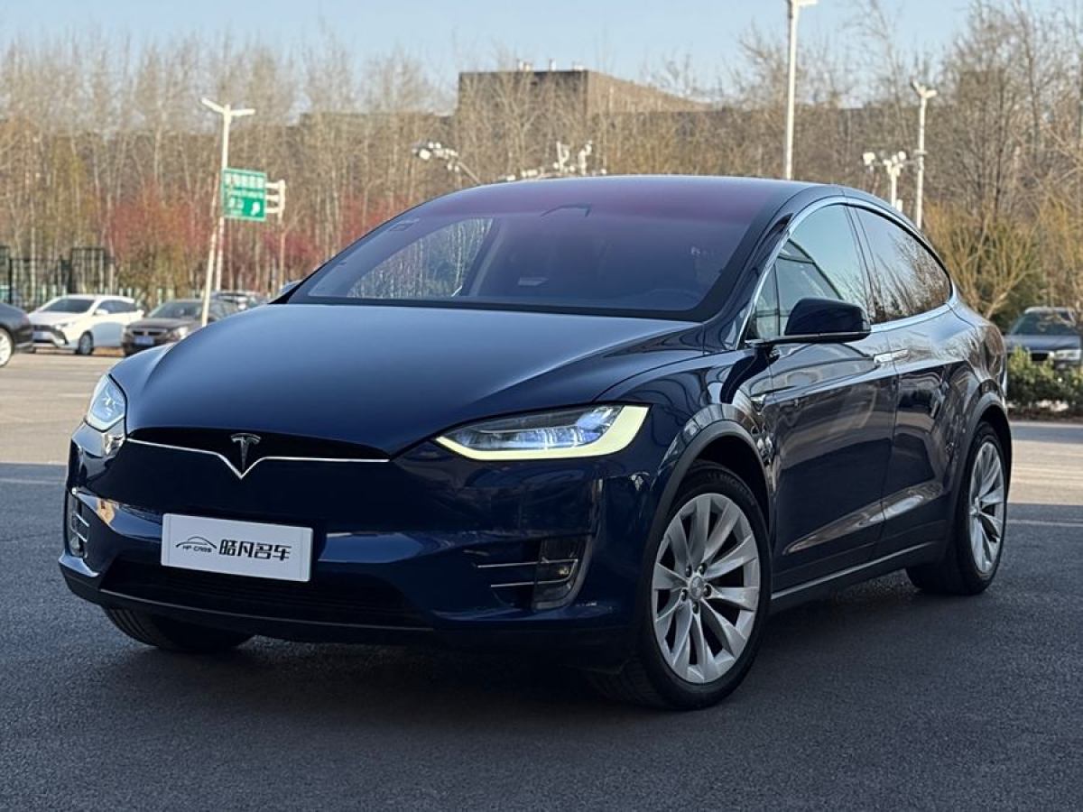 特斯拉 Model X  2017款 Model X 100D 長續(xù)航版圖片