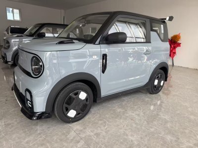 2025年4月 吉利 熊貓mini 210km 熊貓卡丁圖片
