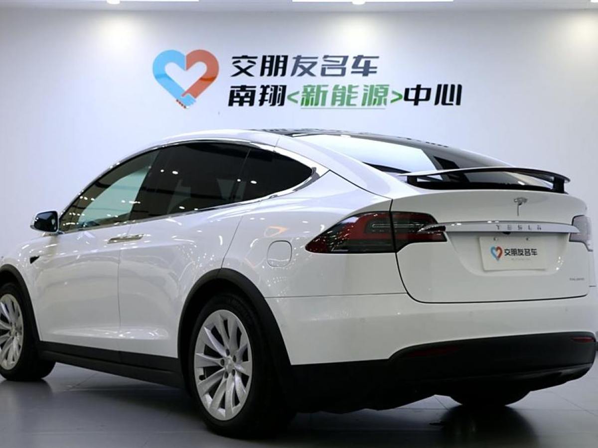 特斯拉 Model X  2019款 長續(xù)航版圖片