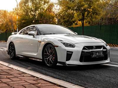 2012年9月 日產(chǎn) GT-R(進(jìn)口) 3.8T Premium Edition圖片