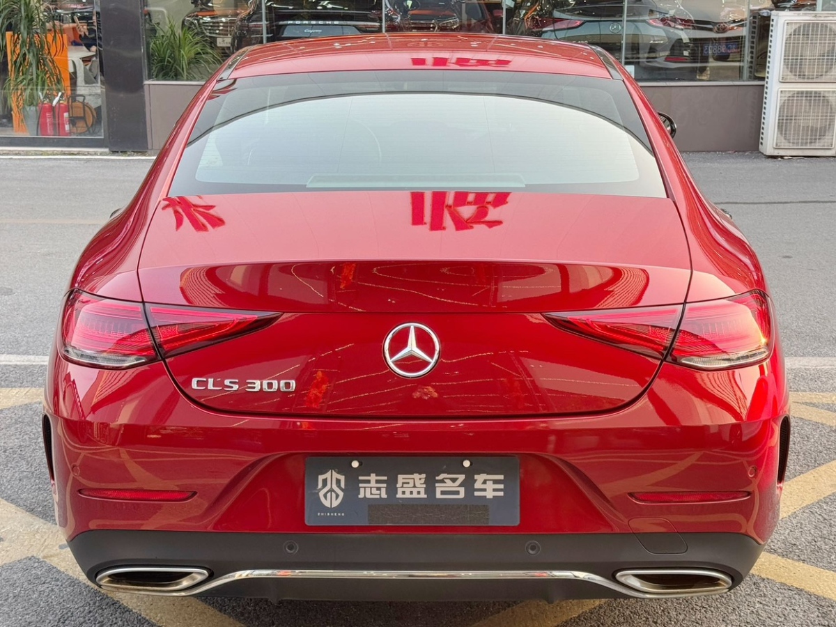 2020年5月奔馳 奔馳CLS級(jí)  2020款 CLS 300 豪華型