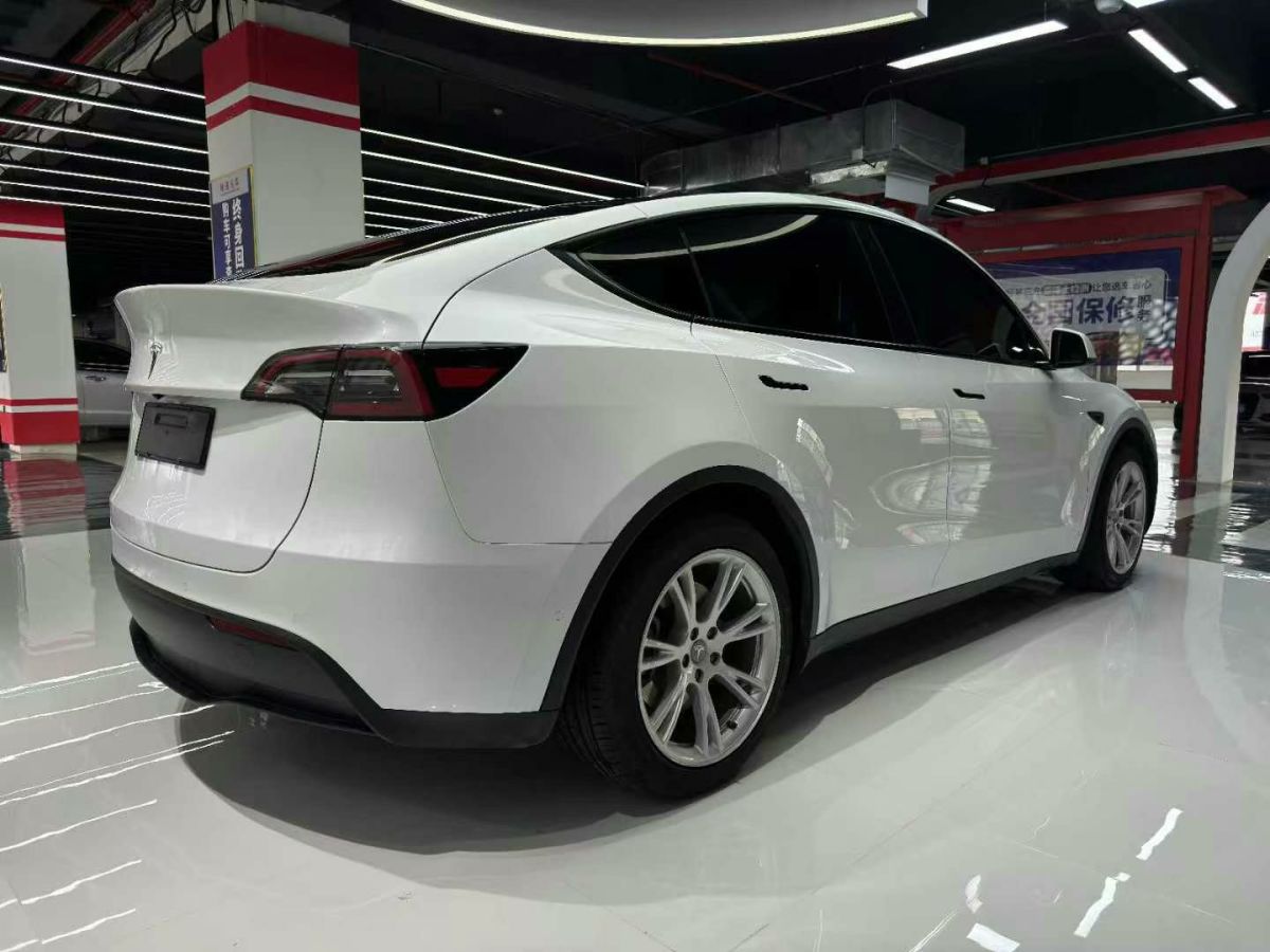 特斯拉 Model Y  2022款 Performance高性能全輪驅(qū)動(dòng)版圖片