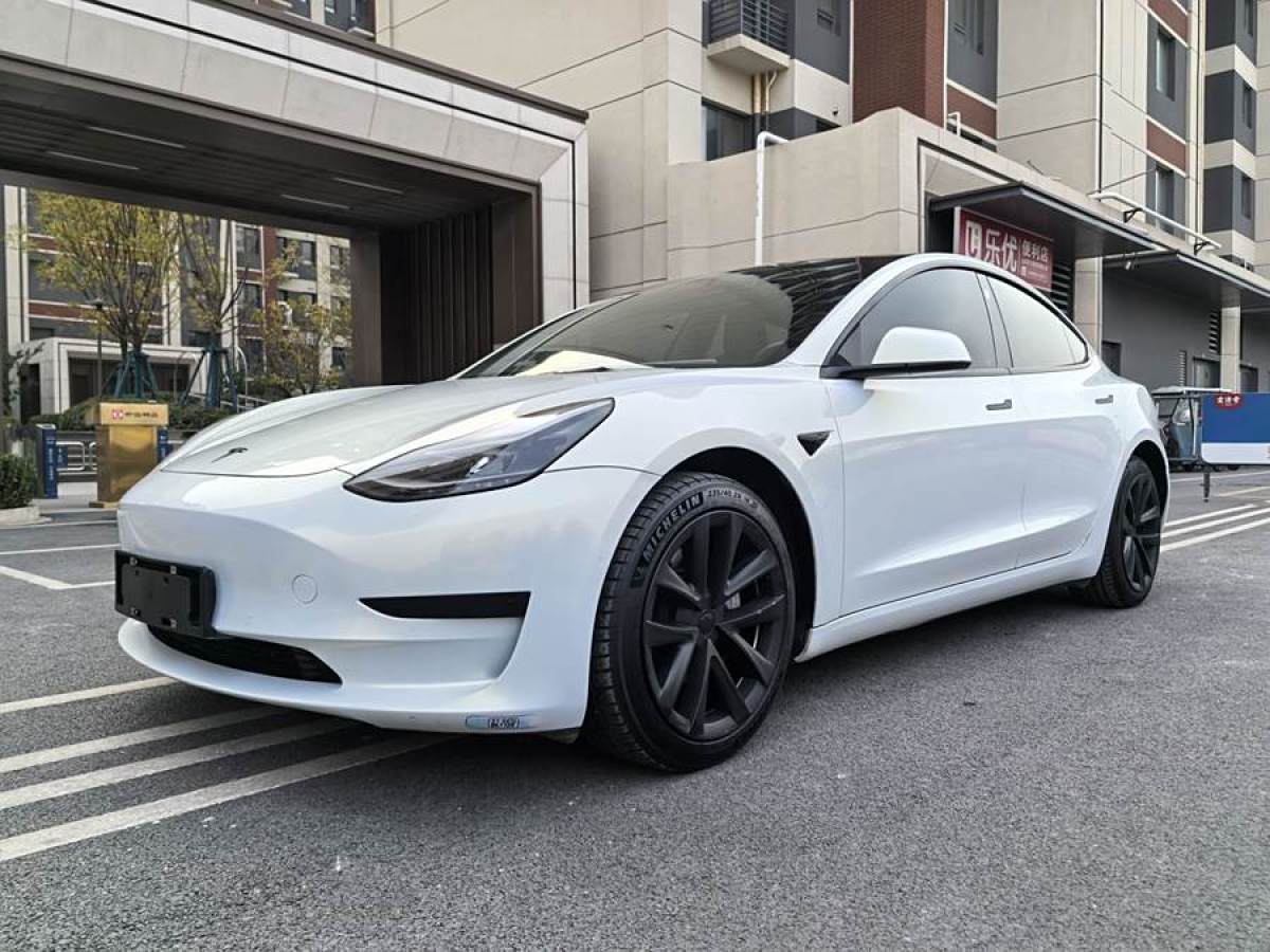 2021年6月特斯拉 Model 3  2021款 標準續(xù)航后驅(qū)升級版 3D6