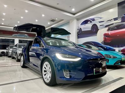 2019年12月 特斯拉 Model X 长续航版图片