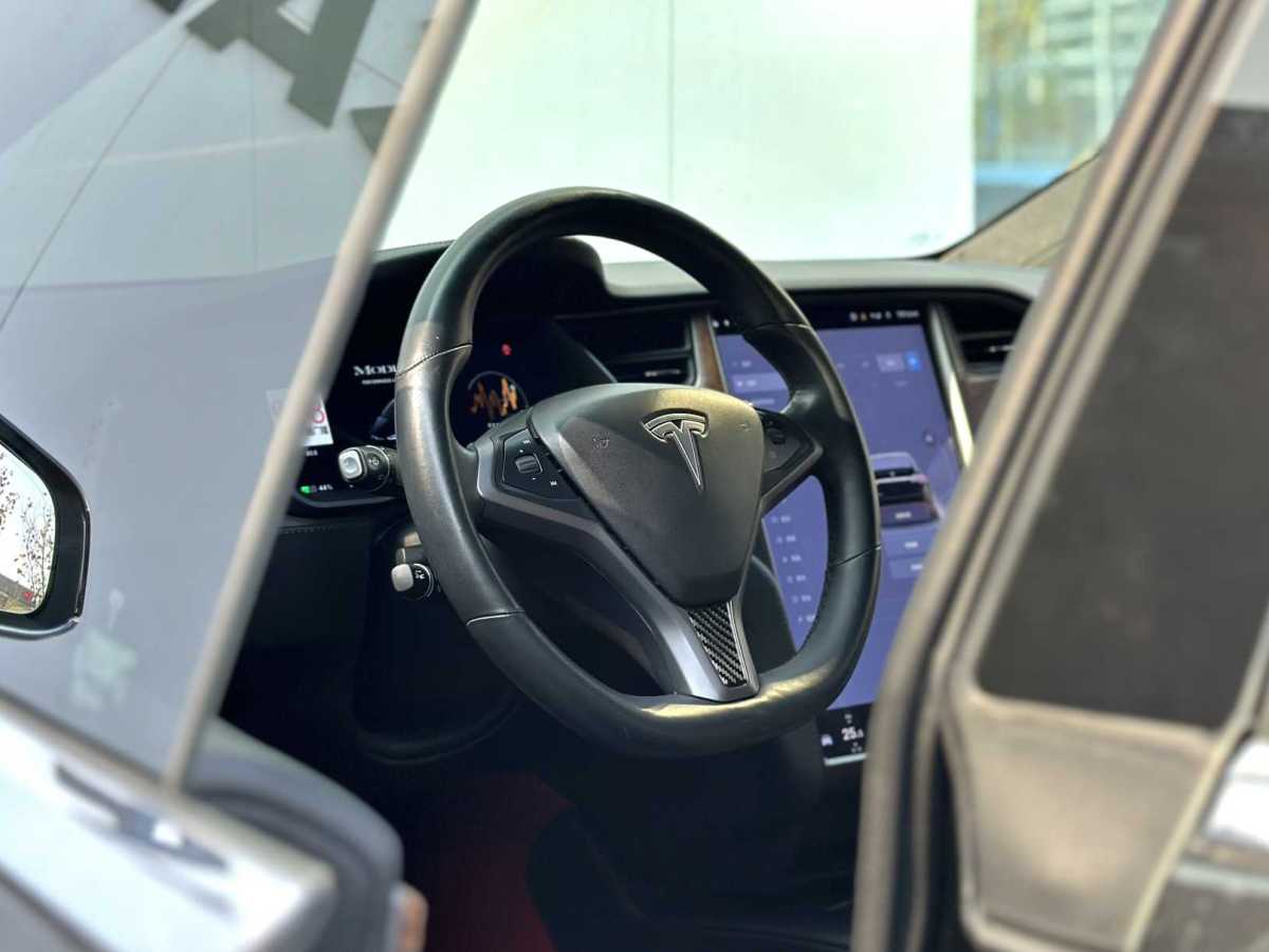 特斯拉 Model X  2019款 Performance 高性能版圖片