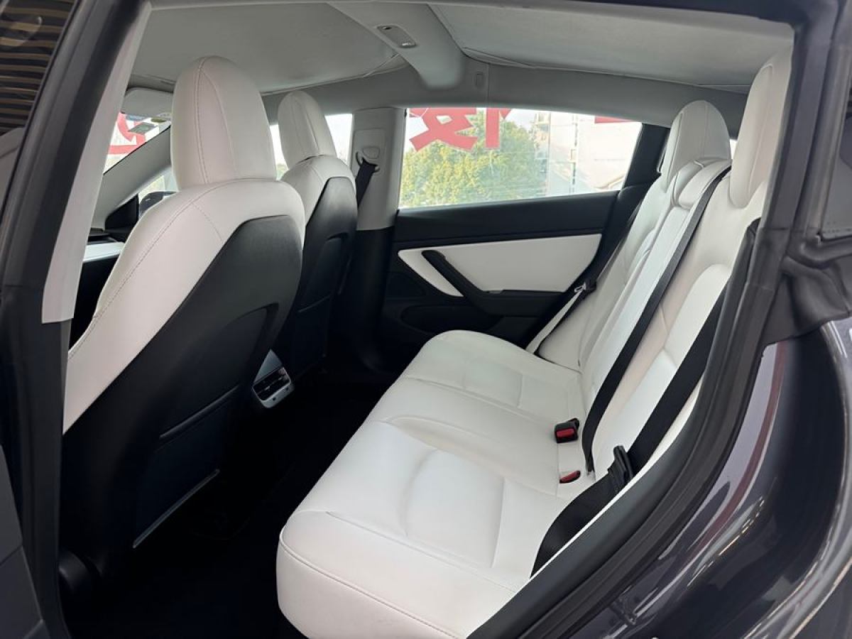 特斯拉 Model 3  2019款 長續(xù)航后驅(qū)版圖片