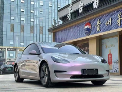 2021年6月 特斯拉 Model 3 標(biāo)準(zhǔn)續(xù)航后驅(qū)升級版 3D6圖片