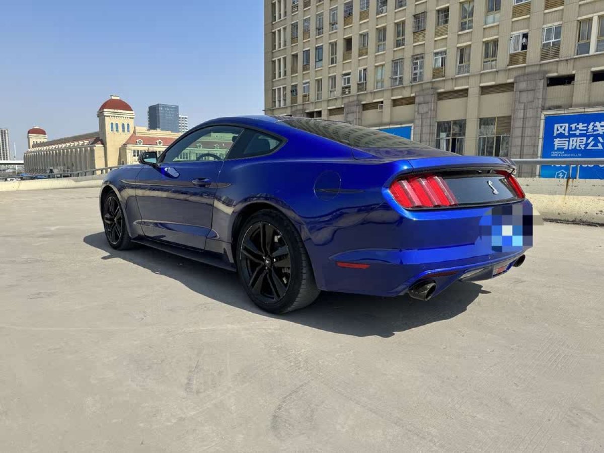 福特 Mustang  2015款 2.3T 性能版圖片
