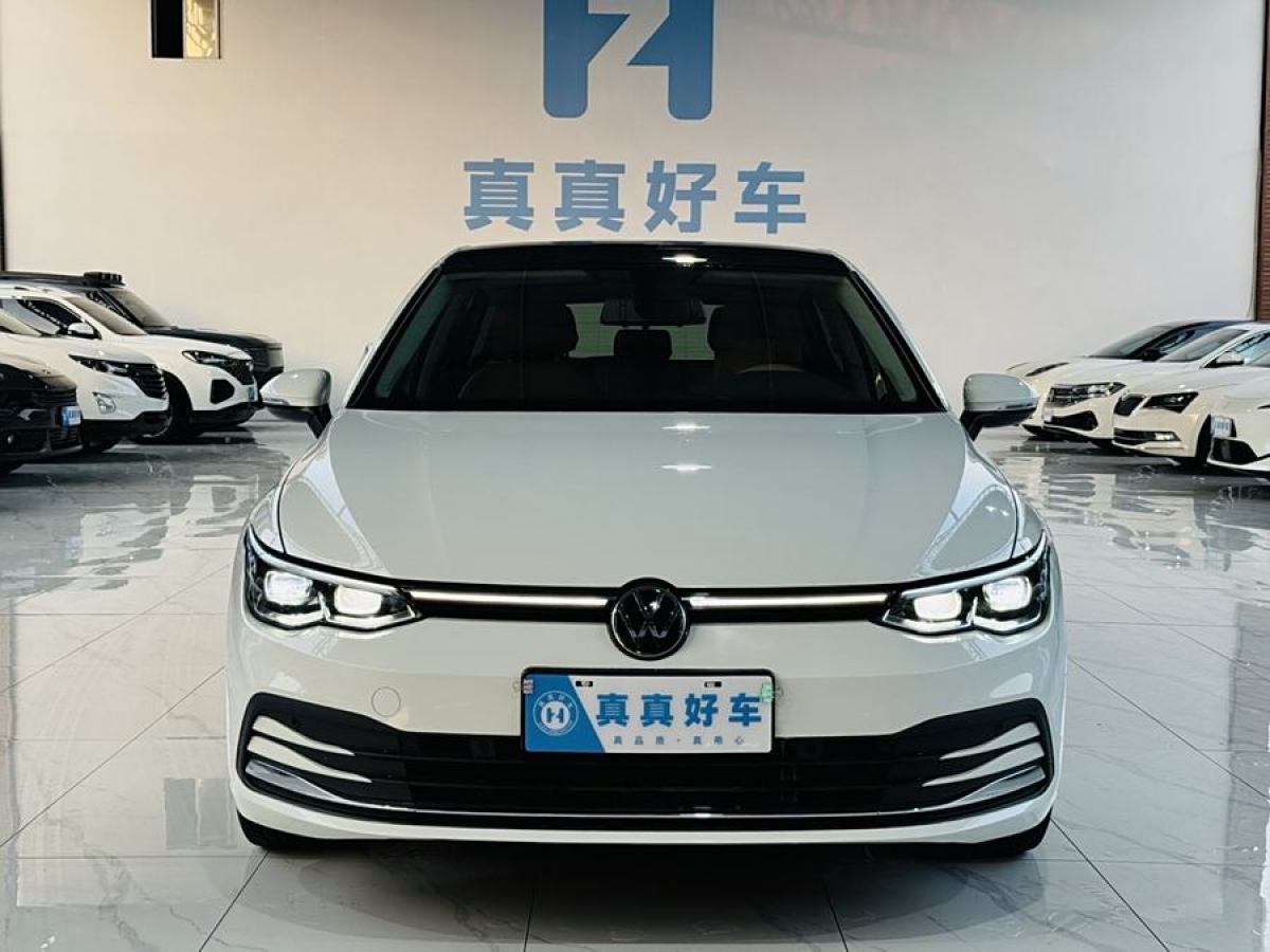 大眾 高爾夫  2021款 280TSI DSG Pro圖片