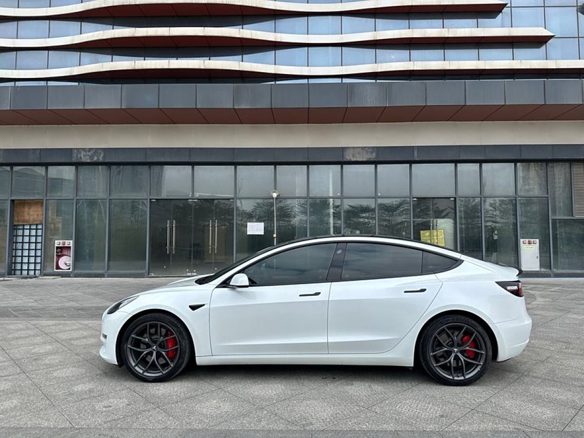 特斯拉 Model Y  2021款 Performance高性能全輪驅(qū)動版圖片