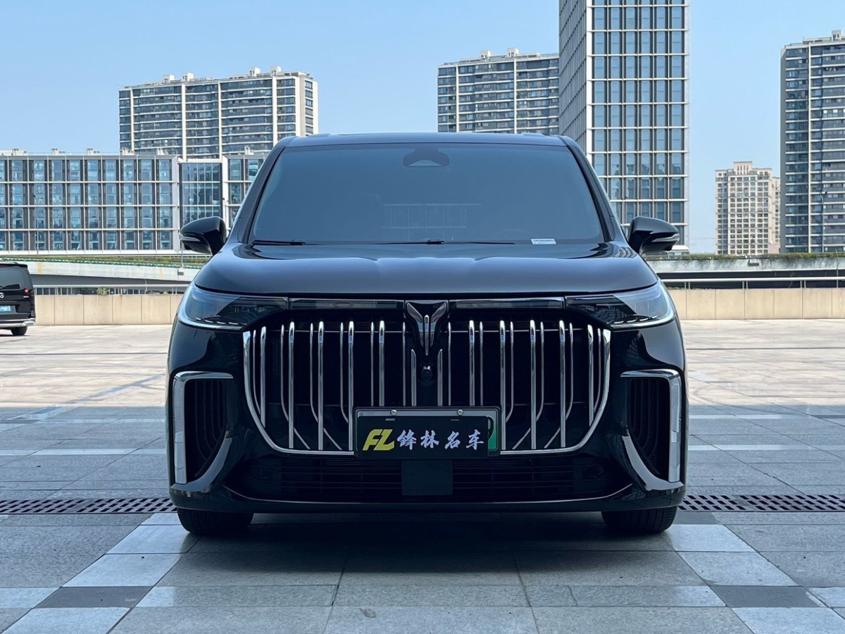 嵐圖 夢想家  2024款 PHEV 超長續(xù)航尊貴版圖片