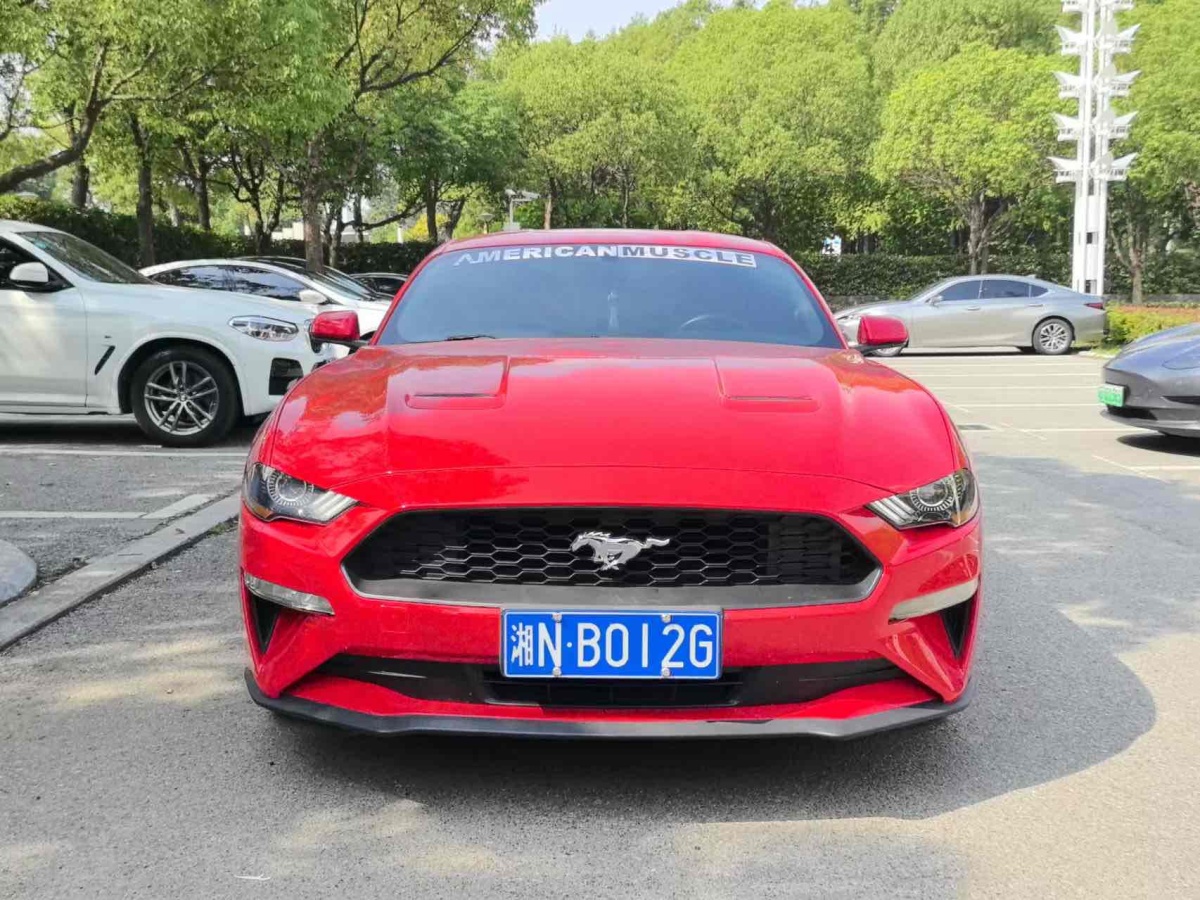 福特 Mustang  2019款 2.3L EcoBoost圖片