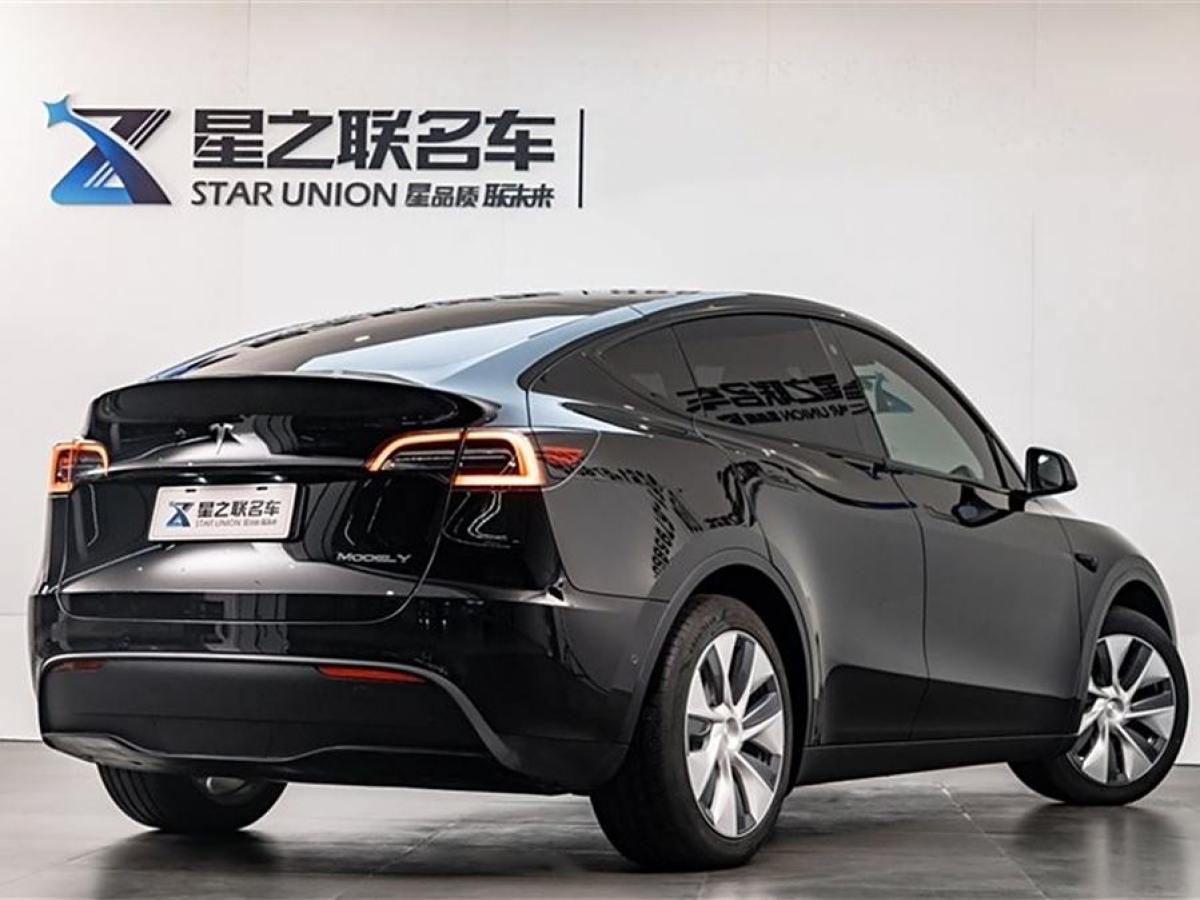 特斯拉 Model 3  2020款 改款 長續(xù)航后輪驅(qū)動版圖片