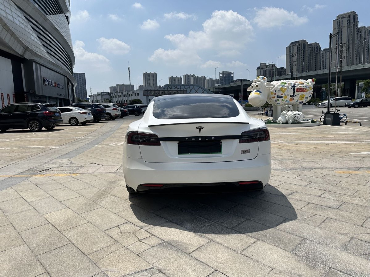 特斯拉 Model S  2019款 Performance 高性能版圖片