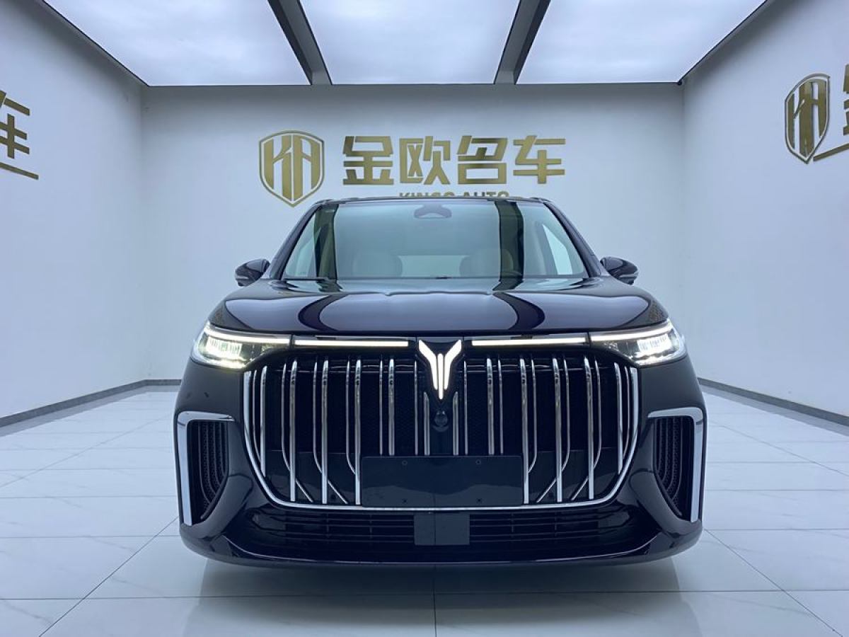 嵐圖 夢想家  2024款 PHEV 超長續(xù)航旗艦版圖片