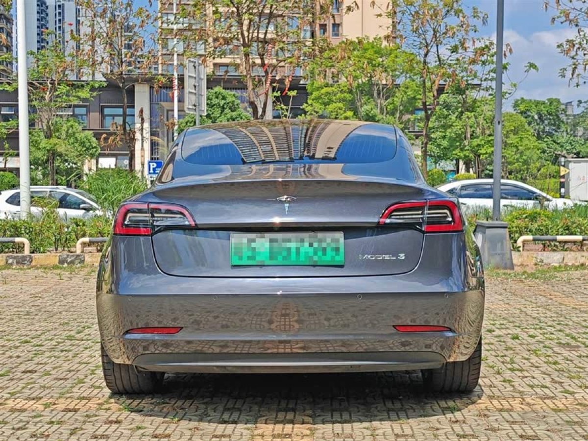 特斯拉 Model 3  2020款 改款 標(biāo)準(zhǔn)續(xù)航后驅(qū)升級(jí)版圖片