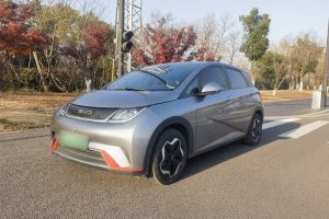 海豚 比亞迪 405km 時尚版