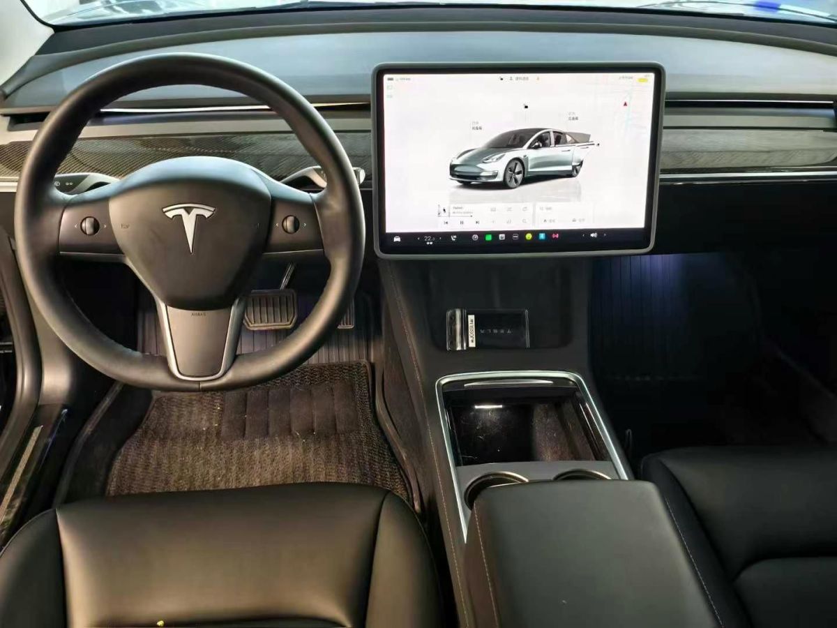 特斯拉 Model 3  2022款 Performance高性能全輪驅(qū)動版圖片