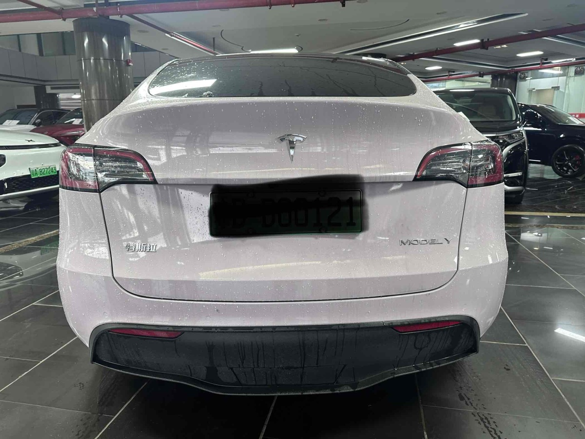 特斯拉 Model Y  2021款 標準續(xù)航后驅(qū)版圖片