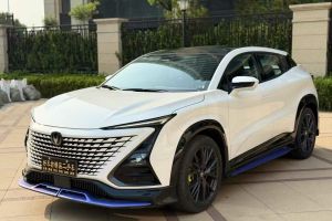 新豹T3 EV 長安跨越 單排豪華版 倉柵車