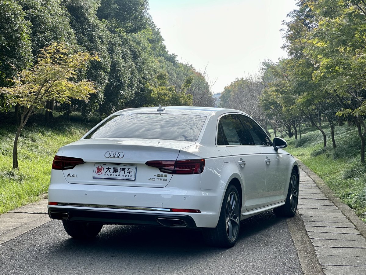 奧迪 奧迪A4L  2019款 40 TFSI 進(jìn)取型 國(guó)V圖片