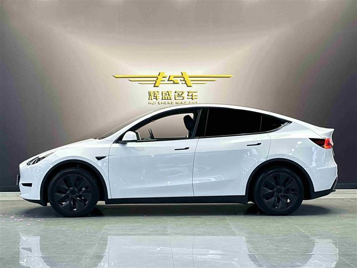 特斯拉 Model 3  2020款 改款 長(zhǎng)續(xù)航后輪驅(qū)動(dòng)版圖片